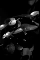 KONO+SLOW+B&W+FILM+ISO+6_006.webp