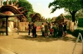 KONO-Delight-ART-II-100-120-Medium-Format_01.webp