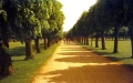 KONO-Delight-ART-II-100-120-Medium-Format_05.webp