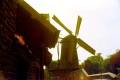 KONO-Delight-ART-II-100-120-Medium-Format_06.webp