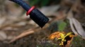 5480 RM 03 Macro Photography LED Light-03.jpg