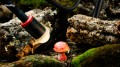 5480 RM 03 Macro Photography LED Light-05.jpg