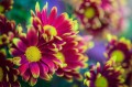 Sample - Obiektyw Laowa 100 mm f_2,8 Tilt-Shift 1x Macro do Nikon Z_03_HD.jpg