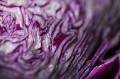 Sample - Obiektyw Laowa 100 mm f_2,8 Tilt-Shift 1x Macro do Nikon Z_10_HD.jpg