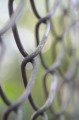 Sample - Obiektyw Laowa 100 mm f_2,8 Tilt-Shift 1x Macro do Nikon Z_12_HD.jpg