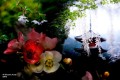 1060w-inspo_02_125244.jpg