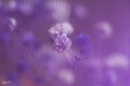 1060w-inspo_04_125244.jpg