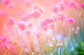 1060w-inspo_06_125244.jpg