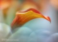 1060w-inspo_14_125244.jpg