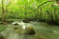 Obiektyw-canon-RF-14MM-F1-4L-VCM-027.jpg