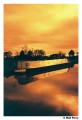 Harman-Red-ISO-125-36-film-06.jpg