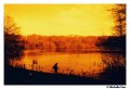 Harman-Red-ISO-125-36-film-08.jpg