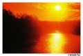 Harman-Red-ISO-125-36-film-09.jpg