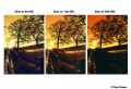 Harman-Red-ISO-125-36-film-011.jpg