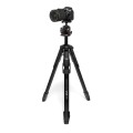 Statyw-Manfrotto-ONE-Photo-ball-head-XPRO-015.jpeg