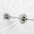Parasol Profoto Deep Translucent L transparentny 130 cm / 51"