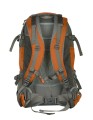 Genesis_Denali_Orange_3.jpg