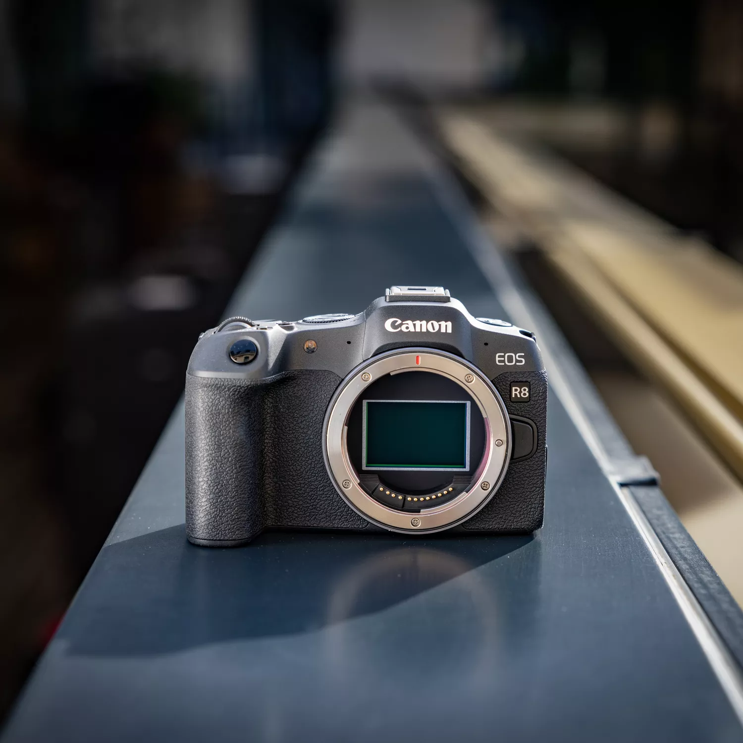Canon EOS R8 Notopstryk